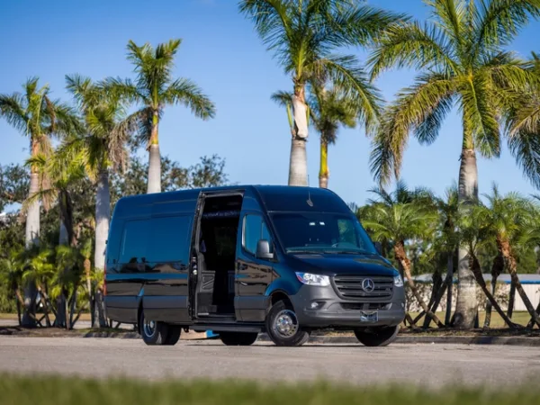 vip-transport-600x450